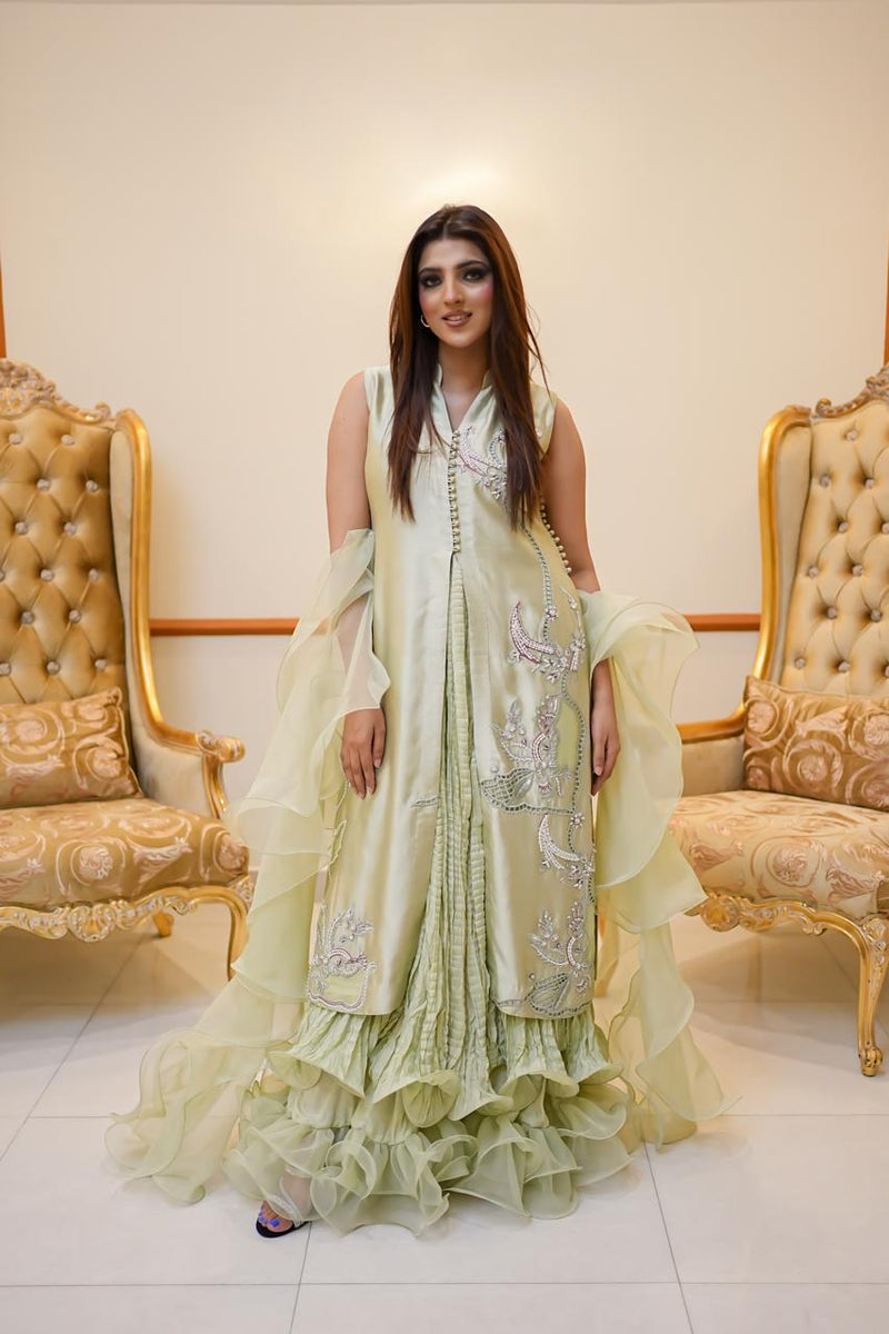 Apple Green Heavy Formal Maxi Dress in Sheesha Silk with Medium Silk D –  SAIMA KAAZI